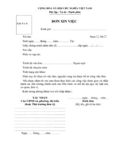 Mẫu đơn xin việc
